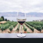 Ontdek de excellence van El Castilla wijnen